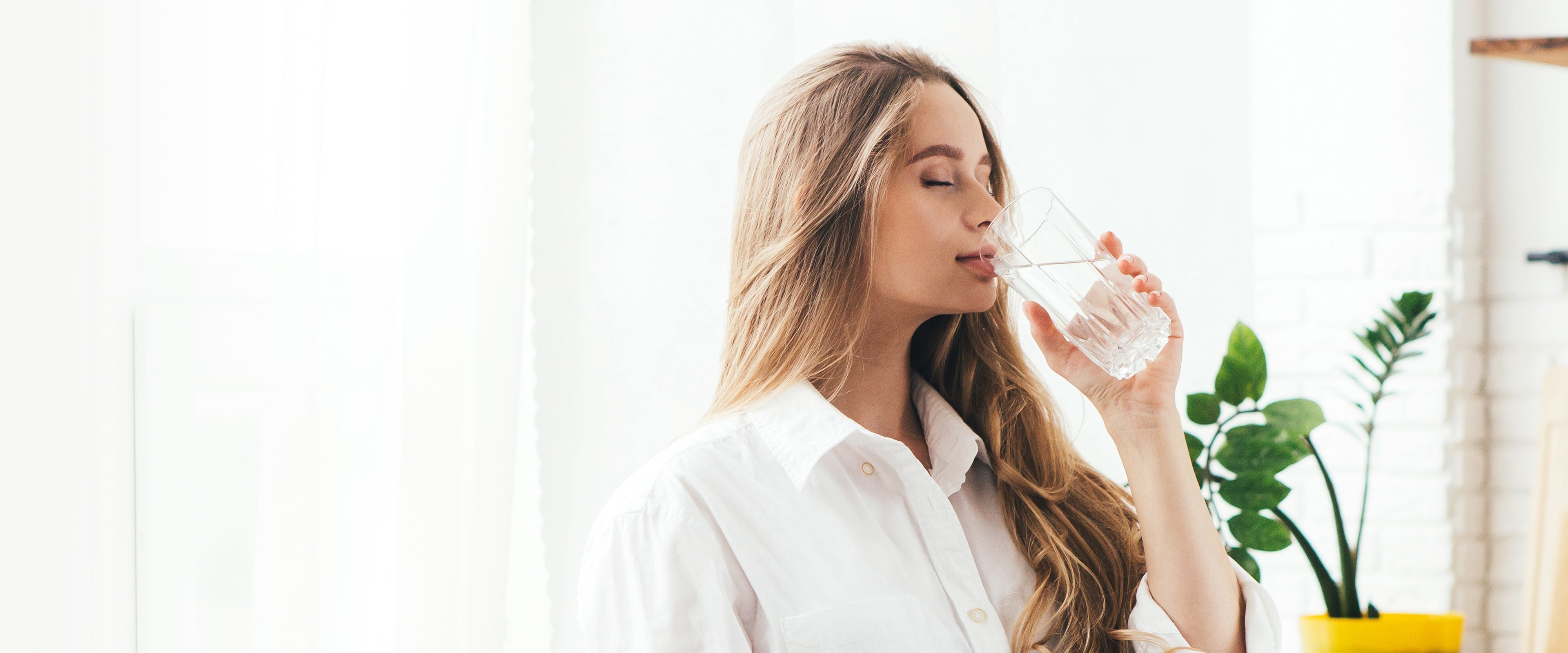 <strong>X Series Reverse Osmosis System</strong>