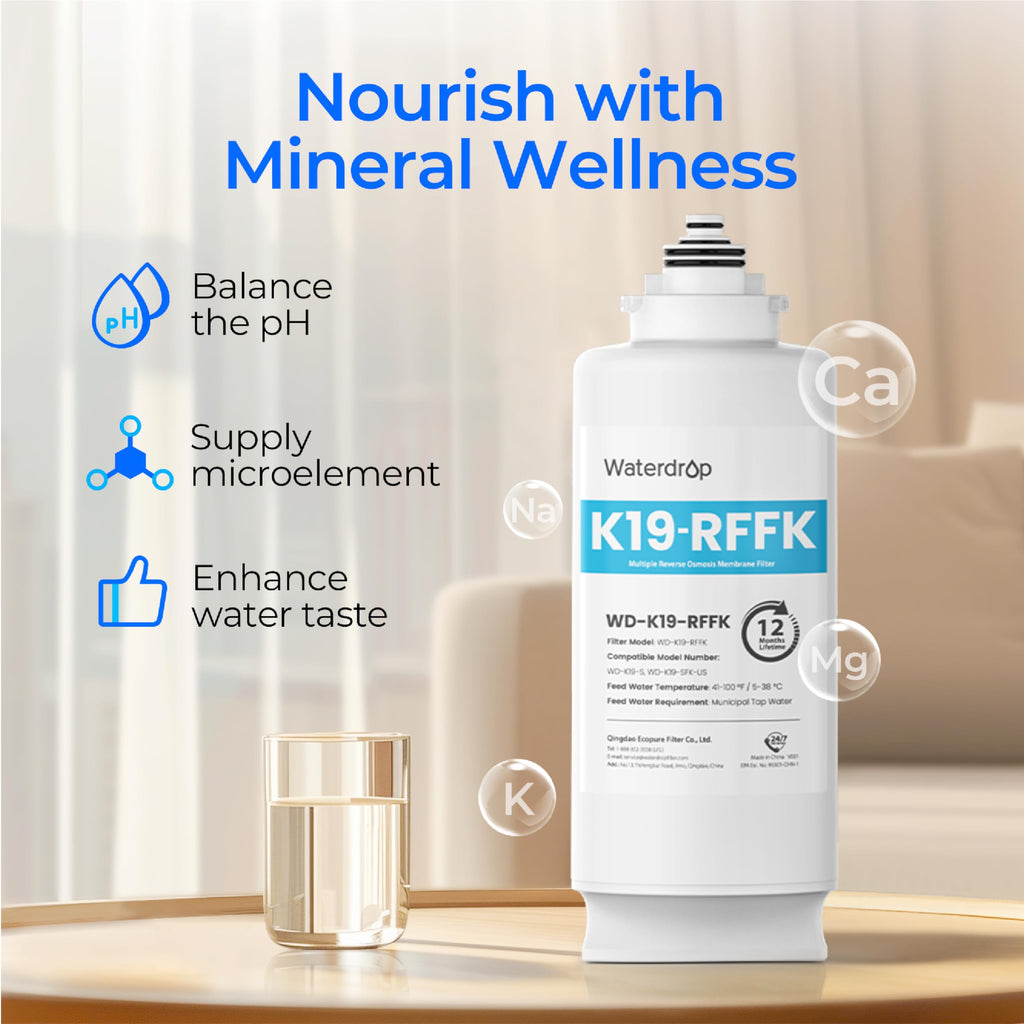 WD-K19RF-FK Filter for K19 Remineralization RO System, 2-YEAR COMBO