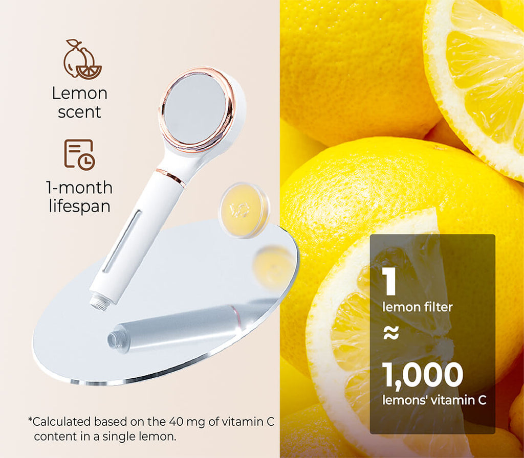 Waterdrop SF02-SL Filtered Shower Head with Handheld