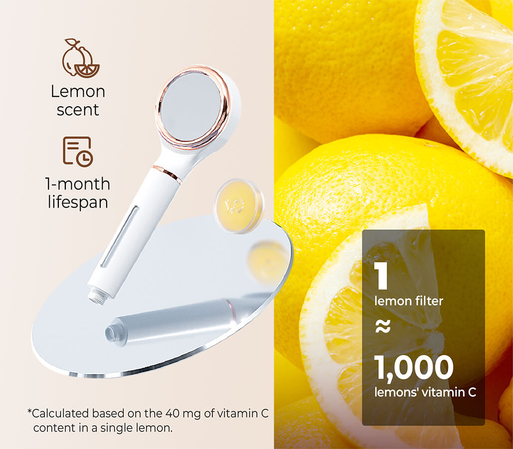 Waterdrop SF02-SL Filtered Shower Head with Handheld